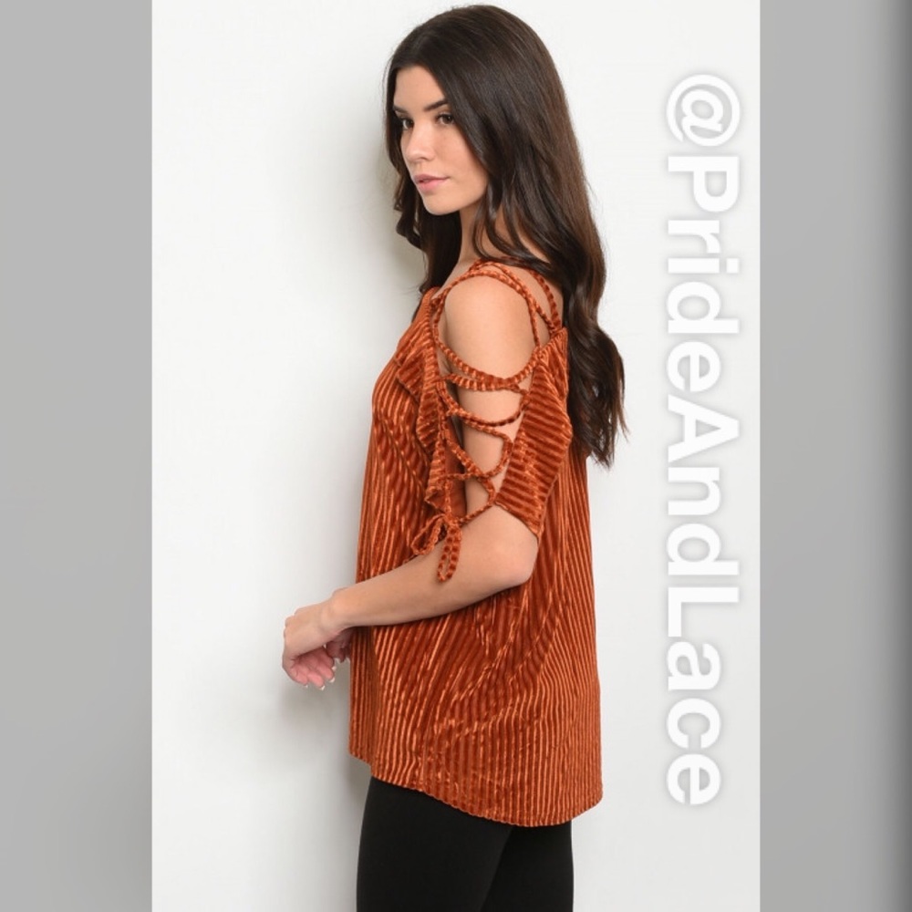 LAST 1️⃣ 🍂 CINNAMON/RUST VELVET TOP 🍂 - Picture 2 of 3